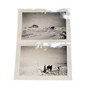 Vtg B&W Photo 1942 Found Horses Working In Snow Pulling Sled Snapshot Lot of 2